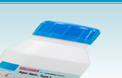 Screenshot 2025-04-15 132942