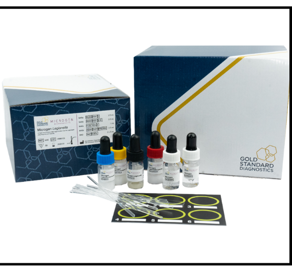 Untitled design (18)