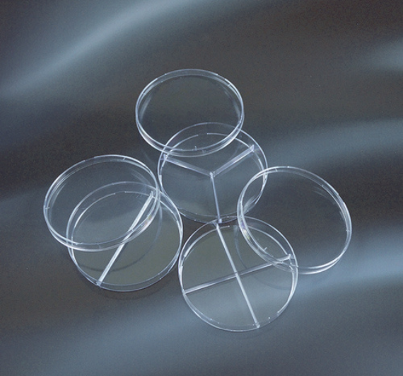 Untitled design (23)