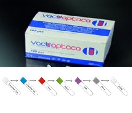 Untitled design (24)