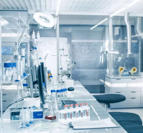 Untitled design (25)